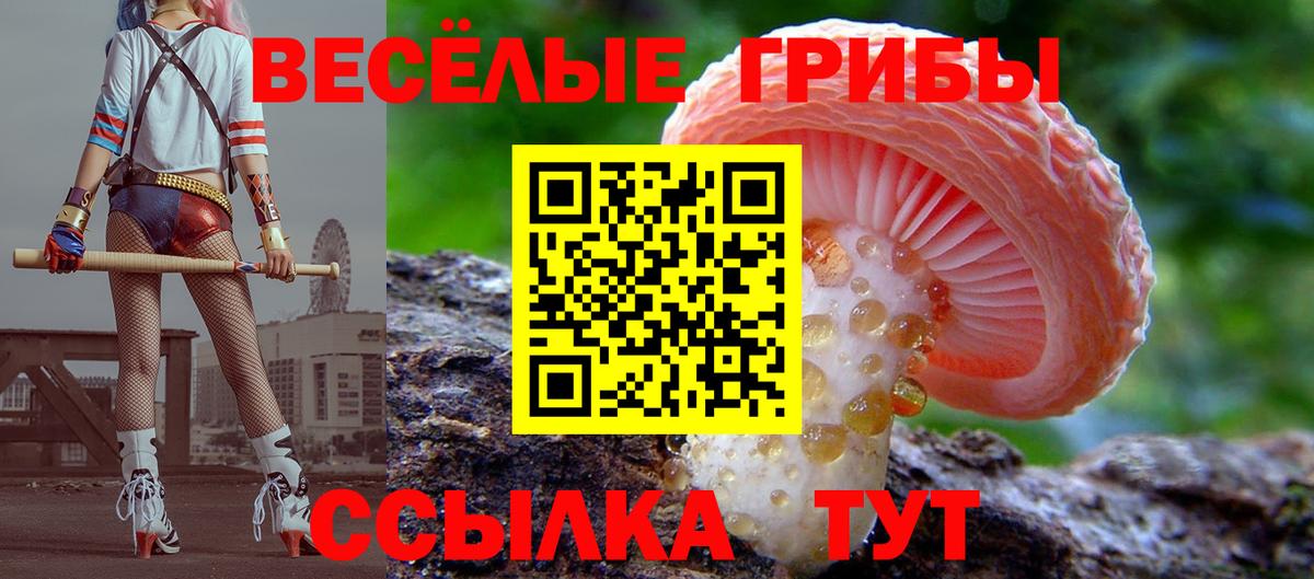 Псилоцибиновые грибы MAGIC MUSHROOMS  магазин продажи наркотиков  Сибай  Вход с VPN 
